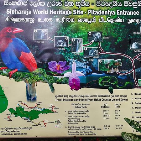 Sinharaja Vini Villa دينيايا المظهر الخارجي الصورة