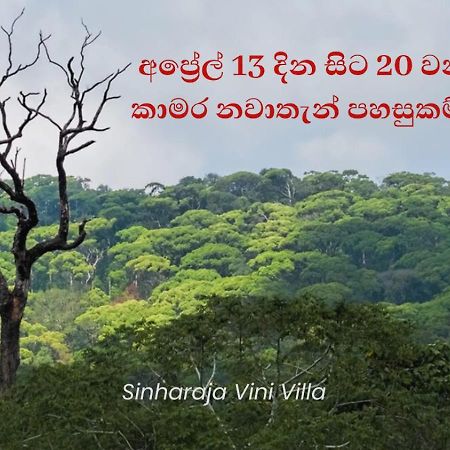 Sinharaja Vini Villa دينيايا المظهر الخارجي الصورة