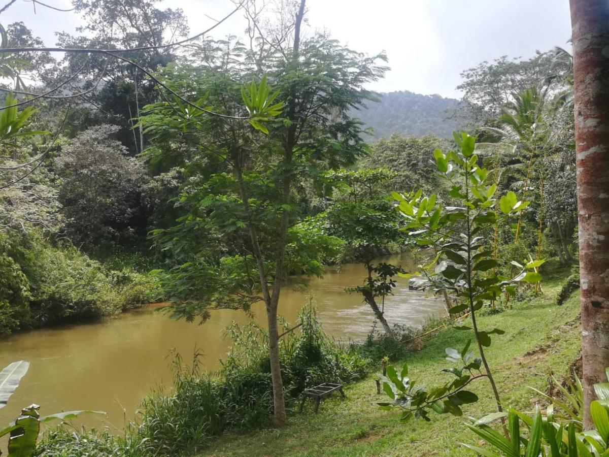 Sinharaja Vini Villa دينيايا المظهر الخارجي الصورة