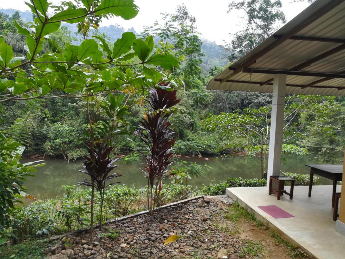 Sinharaja Vini Villa دينيايا المظهر الخارجي الصورة