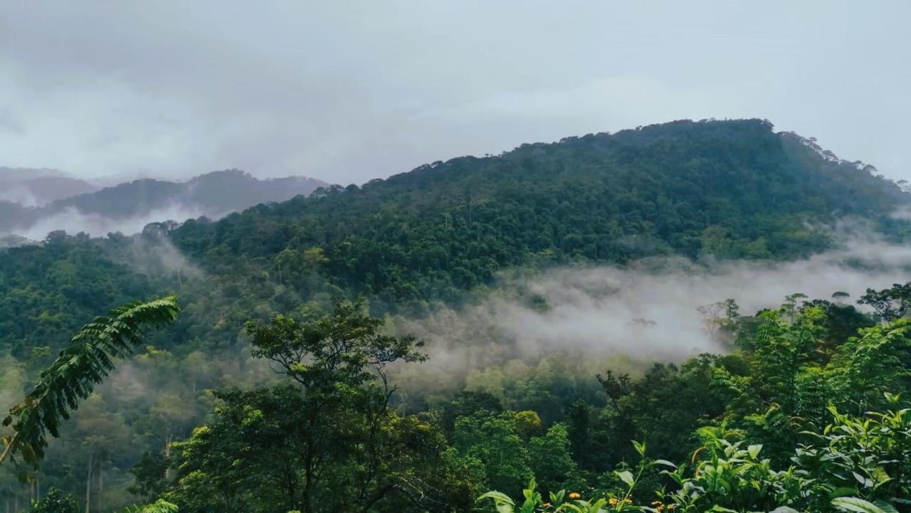 Sinharaja Vini Villa دينيايا المظهر الخارجي الصورة