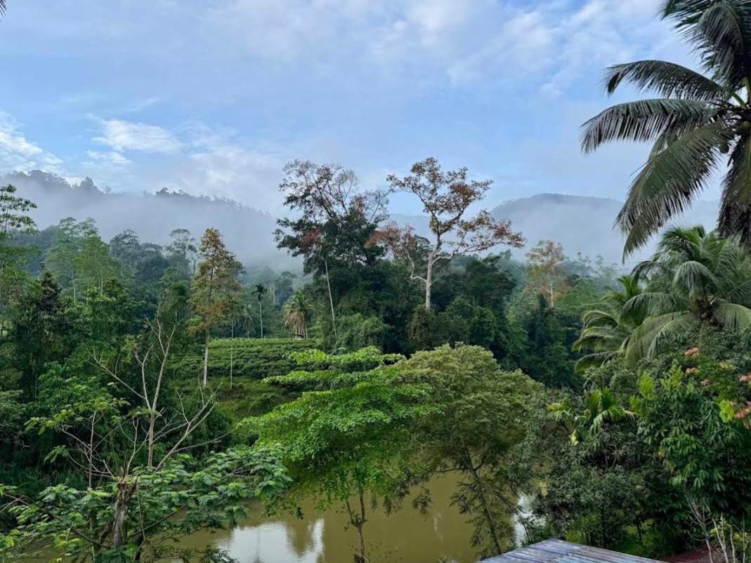 Sinharaja Vini Villa دينيايا المظهر الخارجي الصورة