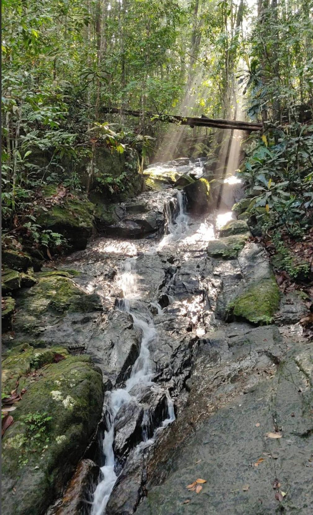 Sinharaja Vini Villa دينيايا المظهر الخارجي الصورة