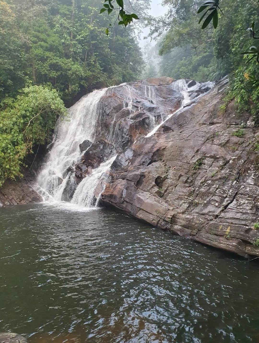 Sinharaja Vini Villa دينيايا المظهر الخارجي الصورة