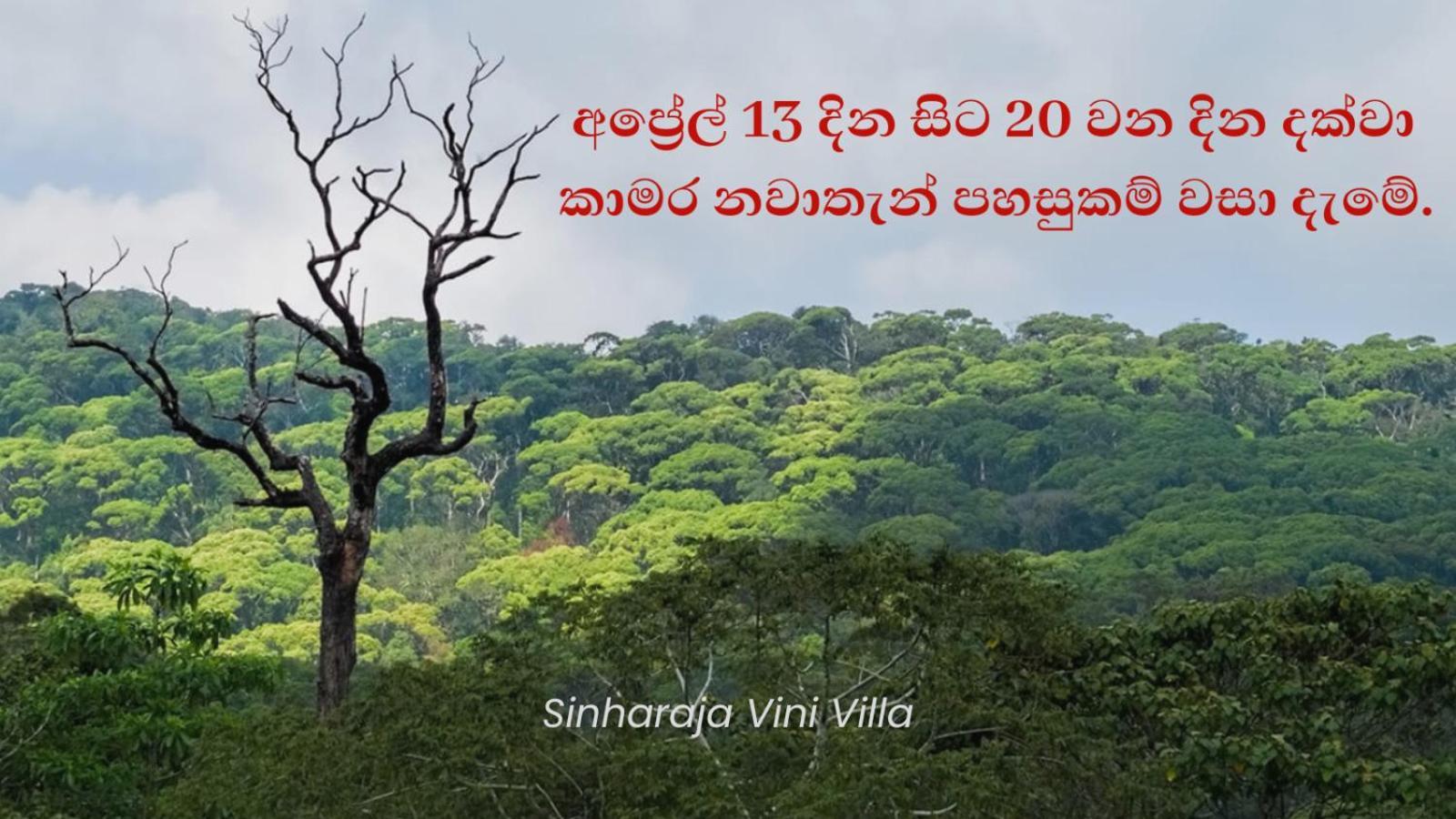 Sinharaja Vini Villa دينيايا المظهر الخارجي الصورة