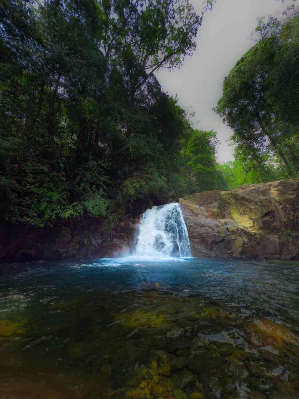 Sinharaja Vini Villa دينيايا المظهر الخارجي الصورة