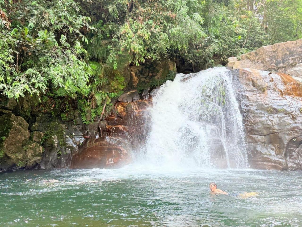 Sinharaja Vini Villa دينيايا المظهر الخارجي الصورة